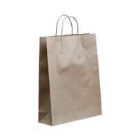 JUNIOR PAPER TWIST HANDLE BAG