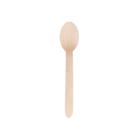 EKO Wooden Spoon 160mm 2000