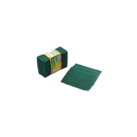 Regular Scouring Pad 15X10x0.5