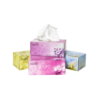 &#39;Polar&#39; Tissue 2-PLY Facial T