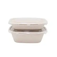 PLA Coated Rectangular Containers image