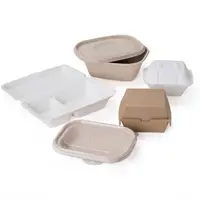 Paper Food Containers & Boxes image